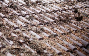 Roos roof cleaning companies