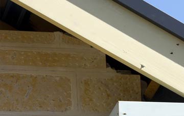 soffit repair Roos